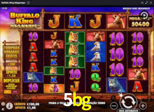 Premium Interface 5bg